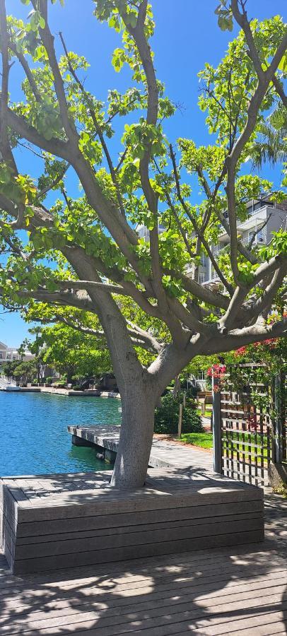 V&A Waterfront Marina Family Apartment 201 Altmore קייפטאון מראה חיצוני תמונה